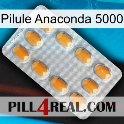 Anaconda 5000 Pill cialis3